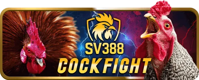 Dịch vụ quản lý tài khoản VIP 789b3 login